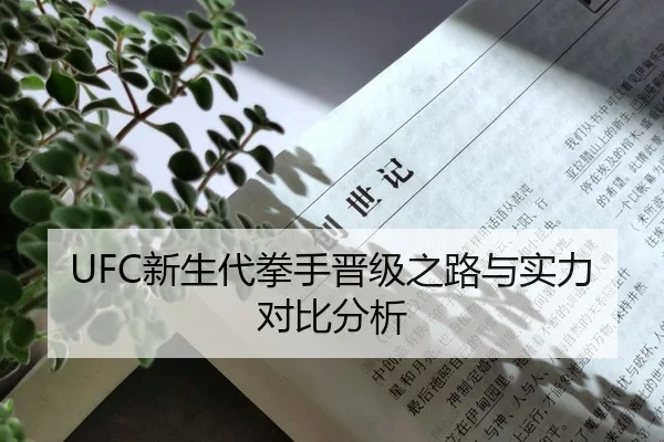 UFC新生代拳手晋级之路与实力对比分析